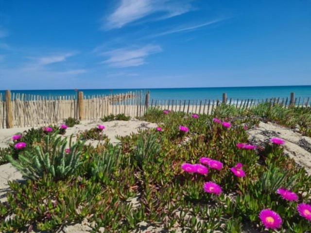 Confortable Studio Cabine - Acces Plage- Vue Mer 4Tvp38 르발카레스 외부 사진